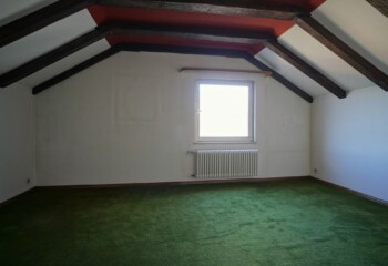 Zimmer DG